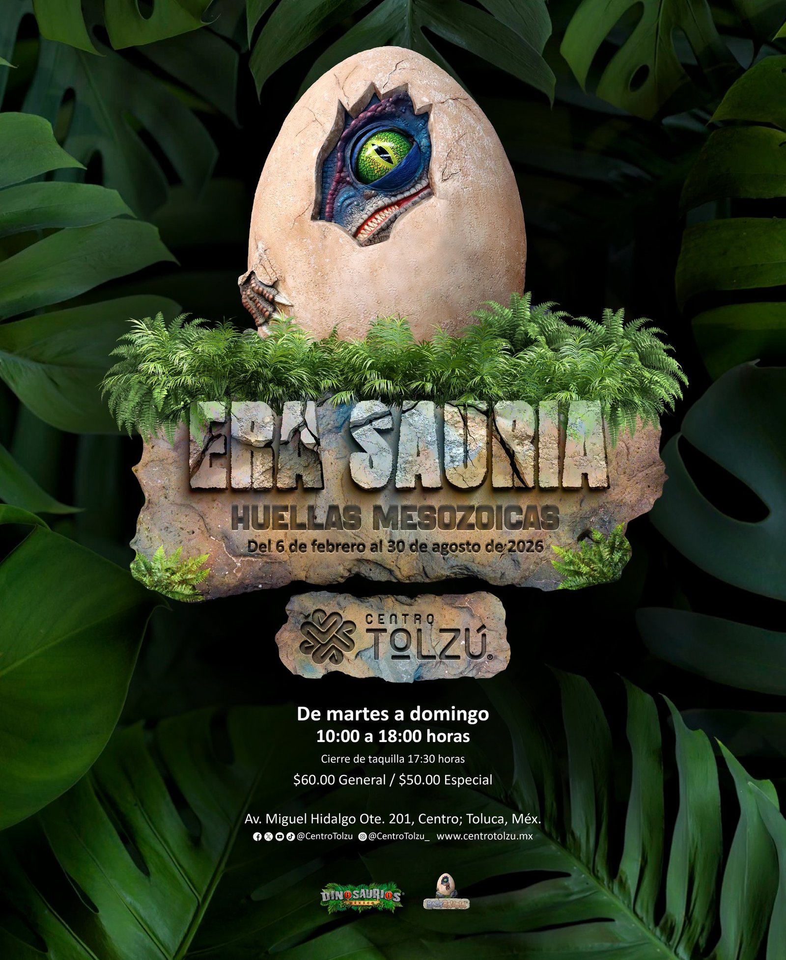 Centro Tolzú de Toluca anuncia la exposición ‘Era Sauria: Huellas Mesozoicas’