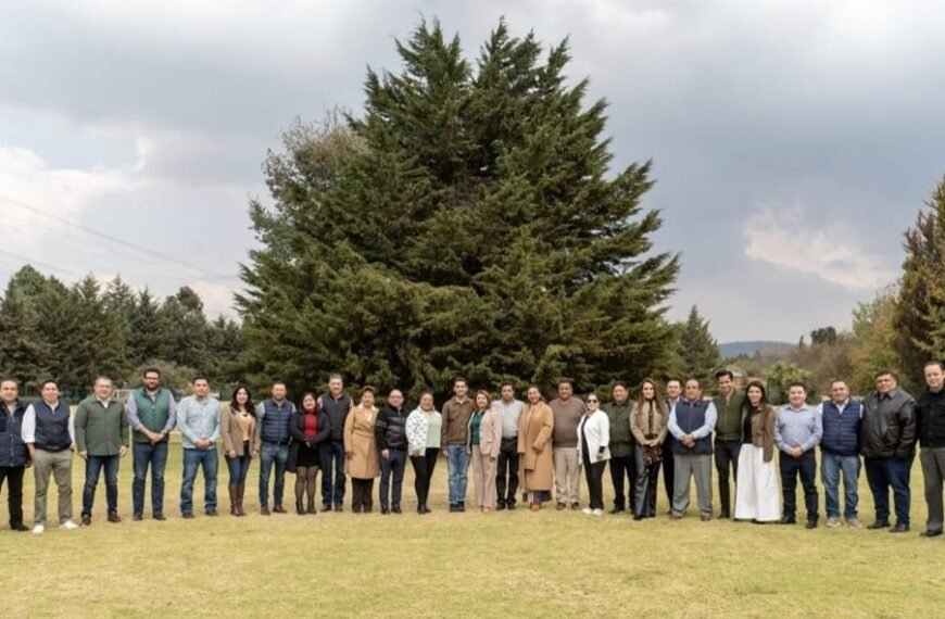 PVEM Edomex Reorganiza su Red de Poder Municipal