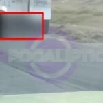 anycript_thumbnail_1 (77)