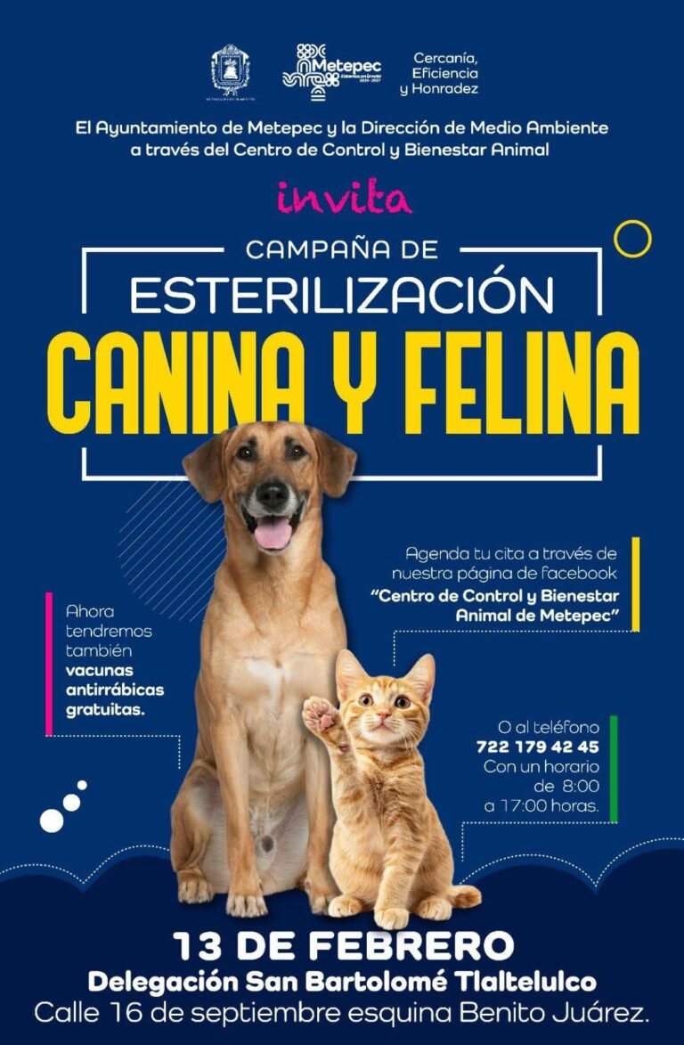 Anuncian campaña móvil de esterilización en #Metepec