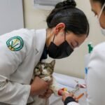 Cuidado felino desde el primer día: UAEMéx llama a reforzar la tenencia responsable 636804880_1352838769981450_3517767957700974127_n