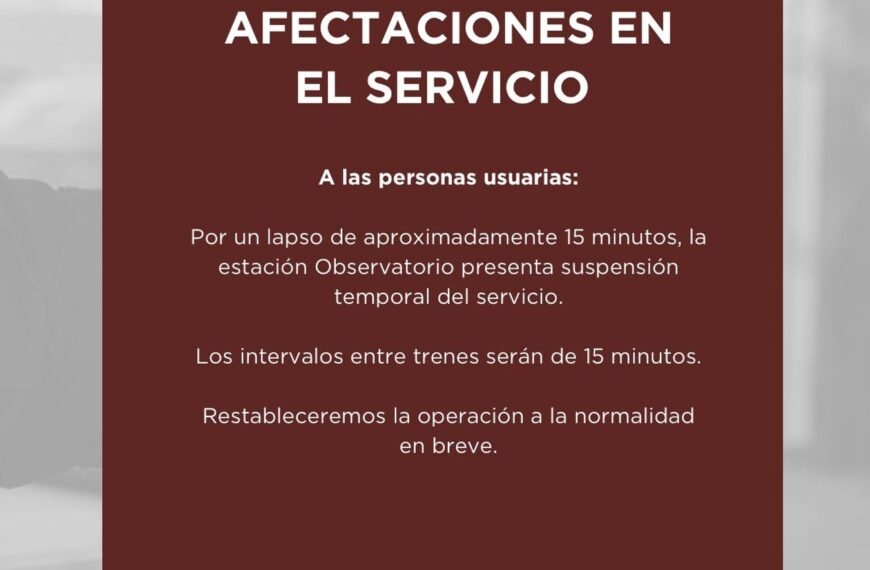 Ajustes operativos provocan retrasos en el Tren Interurbano este lunes