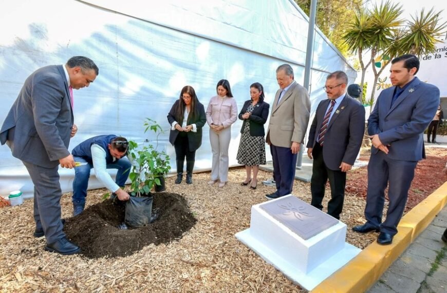 Ixtapan De La Sal Planta Su Universidad: UAEMéx consolida UAP