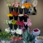 WhatsApp Image 2026-02-05 at 1.23.16 PM