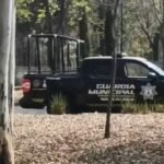 anycript_thumbnail_1 (81)