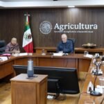 En estos 7 municipios del Estado de México se concentran los casos de gusano barrenador w2_13185_1