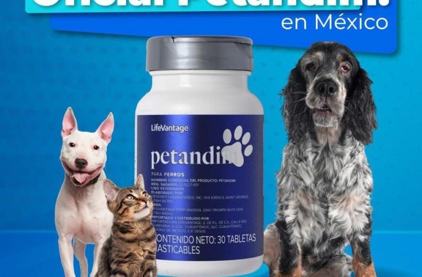 Mascotas mexicanas podran tener mejor salud y bienestar con Petandim, primer y único producto nutrigénomica en el mundo
