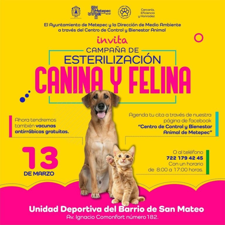 #Metepec anuncia jornada de esterilización gratuita para perros y gatos
