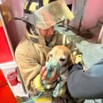 657734867_1263888482600066_5856938321845168394_n