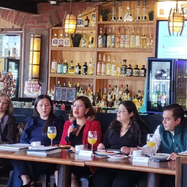 Siete de cada diez mujeres sufren violencia, alertan investigadoras y patronato de empresarios