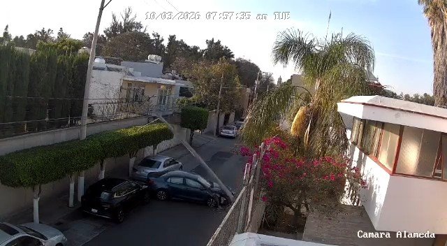 Conductora pierde el control y derriba poste en calle de Celaya. Video