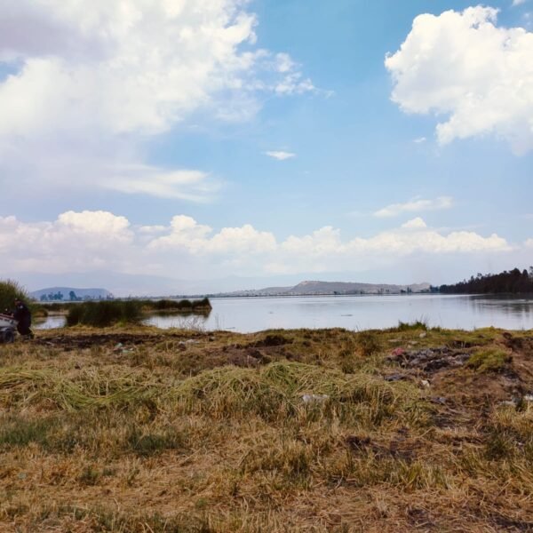 Hallan más de mil restos humanos en lagunas de Tláhuac-Chalco: colectivos piden declarar emergencia forense