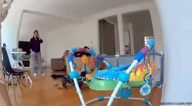 Filtran video del momento en que suegra mata a ex reina de belleza en departamento de Polanco