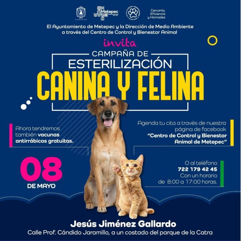 #Metepec convoca a jornada de esterilización y vacunación gratuita para mascotas este 8 de mayo