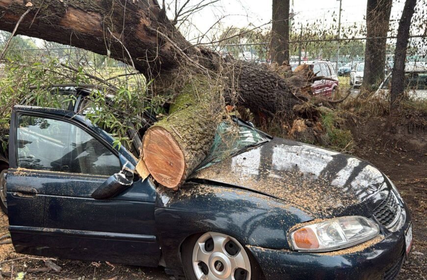 Árbol cae sobre vehículo en avenida Tecnológico de Metepec