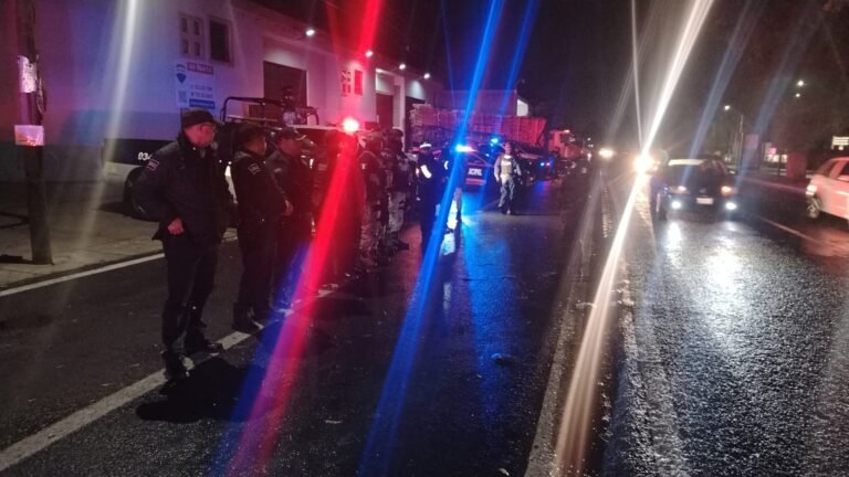 Realizan operativo contra tala clandestina en #Zinacantepec