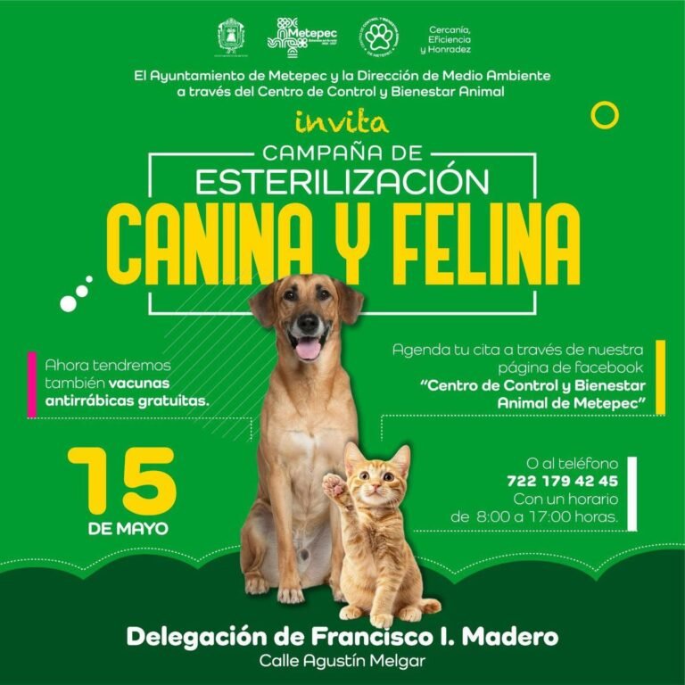 Metepec realizará jornada de esterilización y vacunación antirrábica para perros y gatos