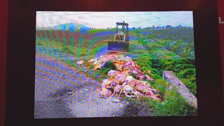 Ricardo Moreno advierte: contaminar ríos y tirar basura será sancionado con el rigor de la ley