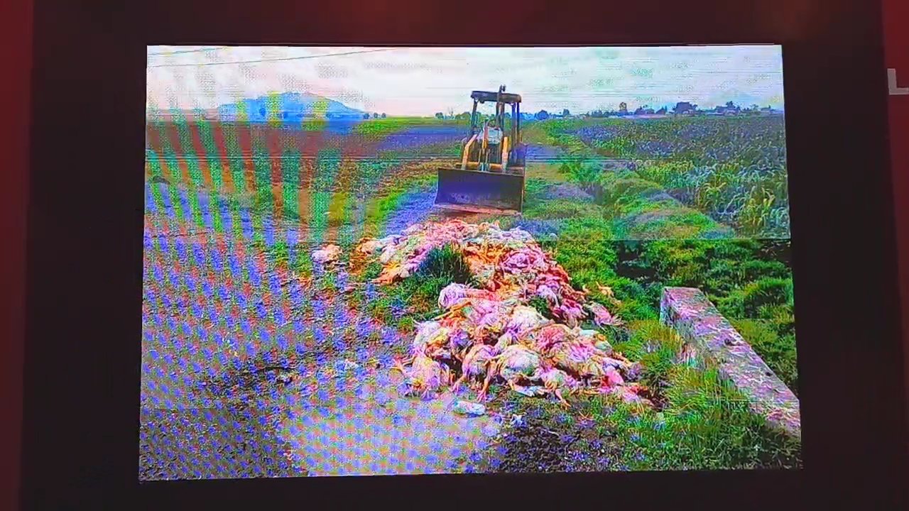 Ricardo Moreno advierte: contaminar ríos y tirar basura será sancionado con el rigor de la ley