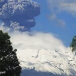 anycript_thumbnail_1 - 2026-05-28T143235.616