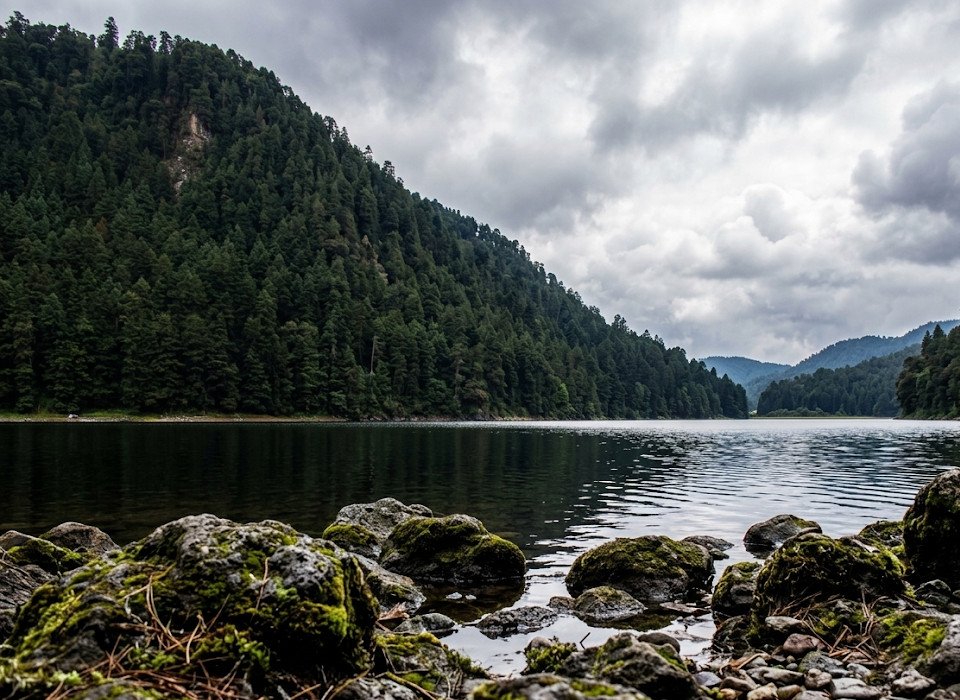 El Bosque de Agua, pulmón hídrico del centro de México, en riesgo: investigadores proponen un sistema urgente de protección
