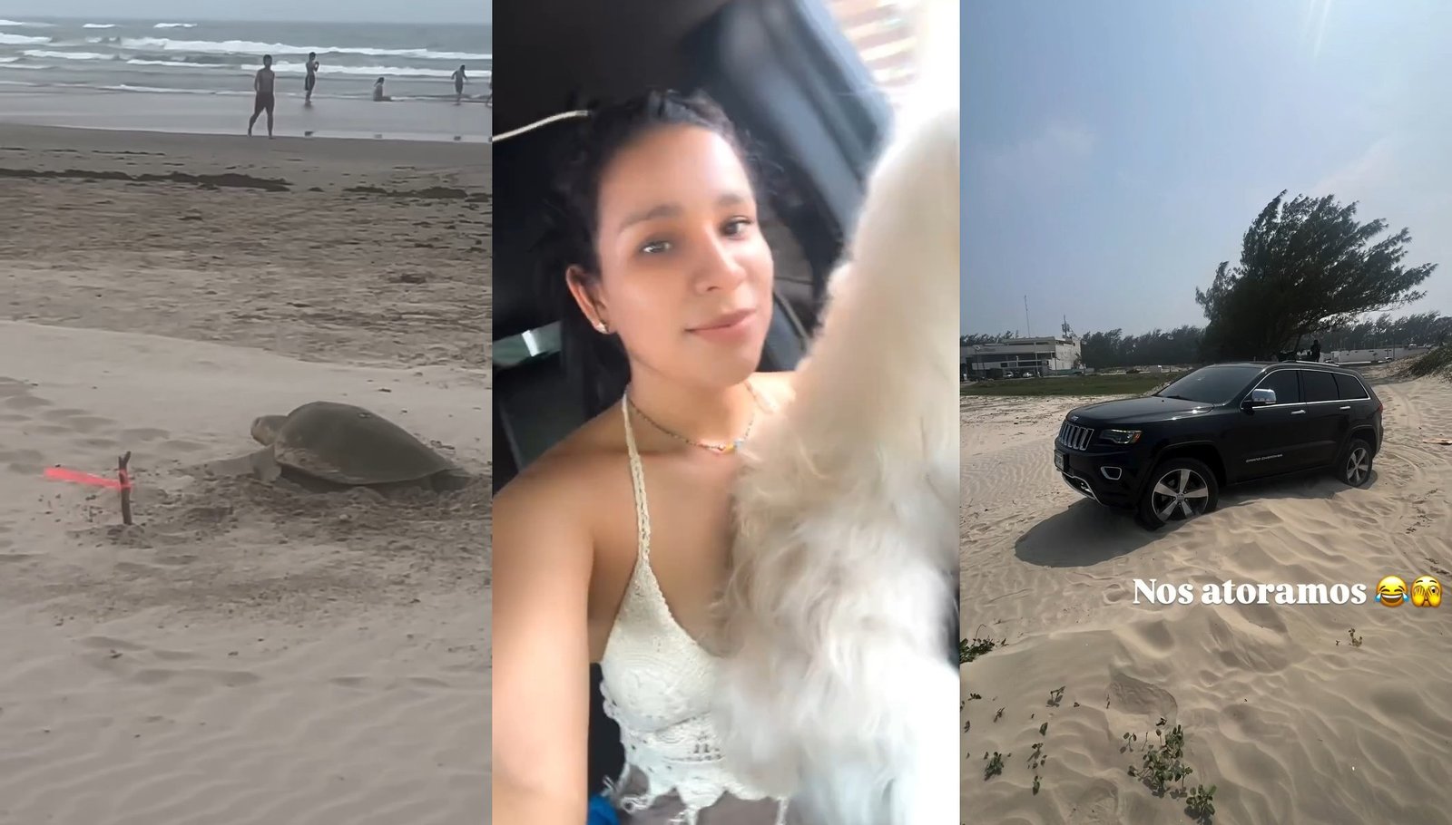 Funcionaria de Veracruz entra con camioneta a playa con tortugas en riesgo de extinción