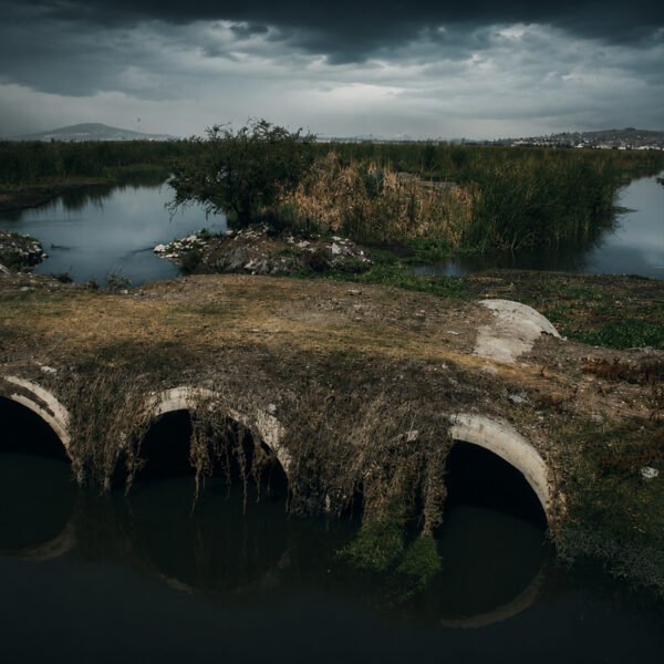 Cientos de niños con daños renales en Poncitlán; víctimas de la contaminación del Río Lerma-Santiago