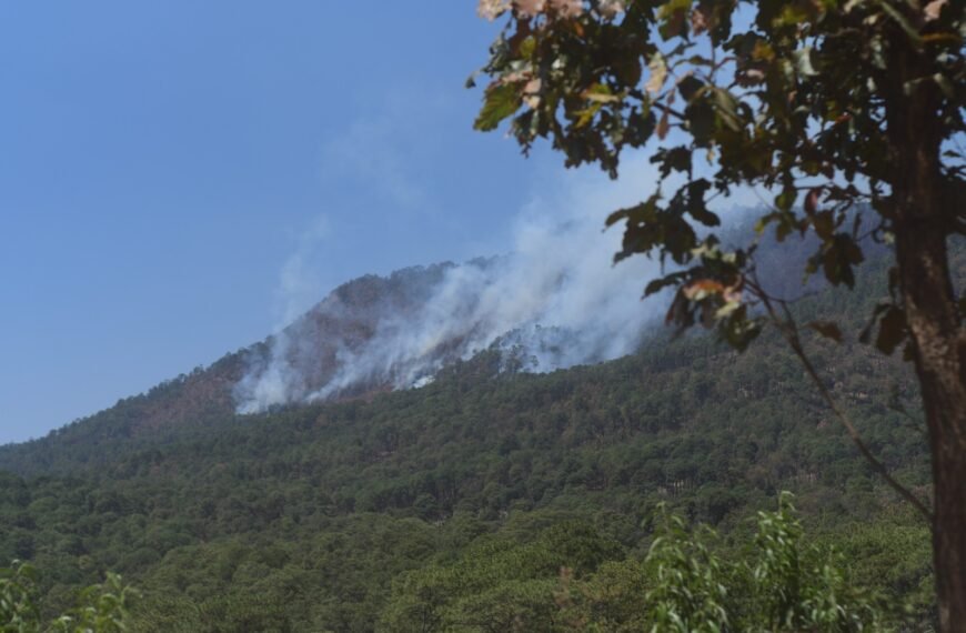 Activan plan preventivo contra incendios forestales en el sur del Edoméx