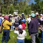 Toluca reporta la plantación de más de mil 600 árboles en acciones de reforestación 55247d69-993f-461a-92cf-7657c57b7f86