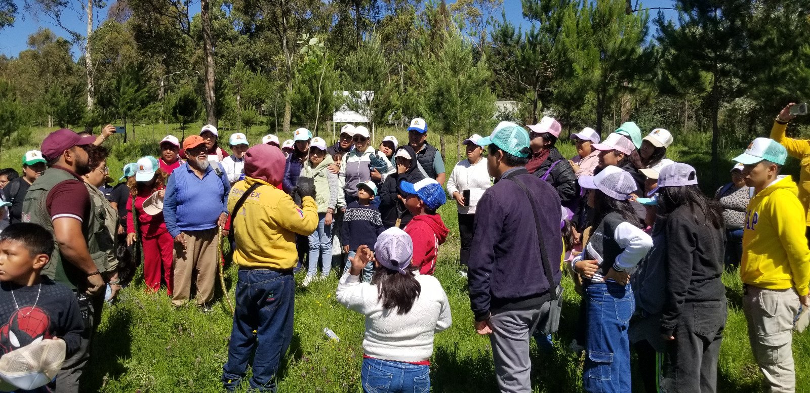 Toluca reporta la plantación de más de mil 600 árboles en acciones de reforestación