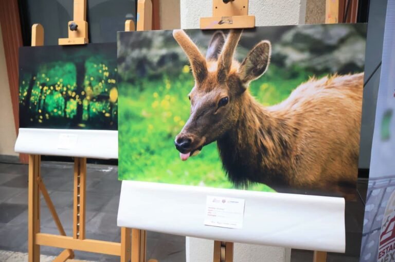 Inauguran en Metepec exposición fotográfica sobre los Pueblos Mágicos del Estado de México