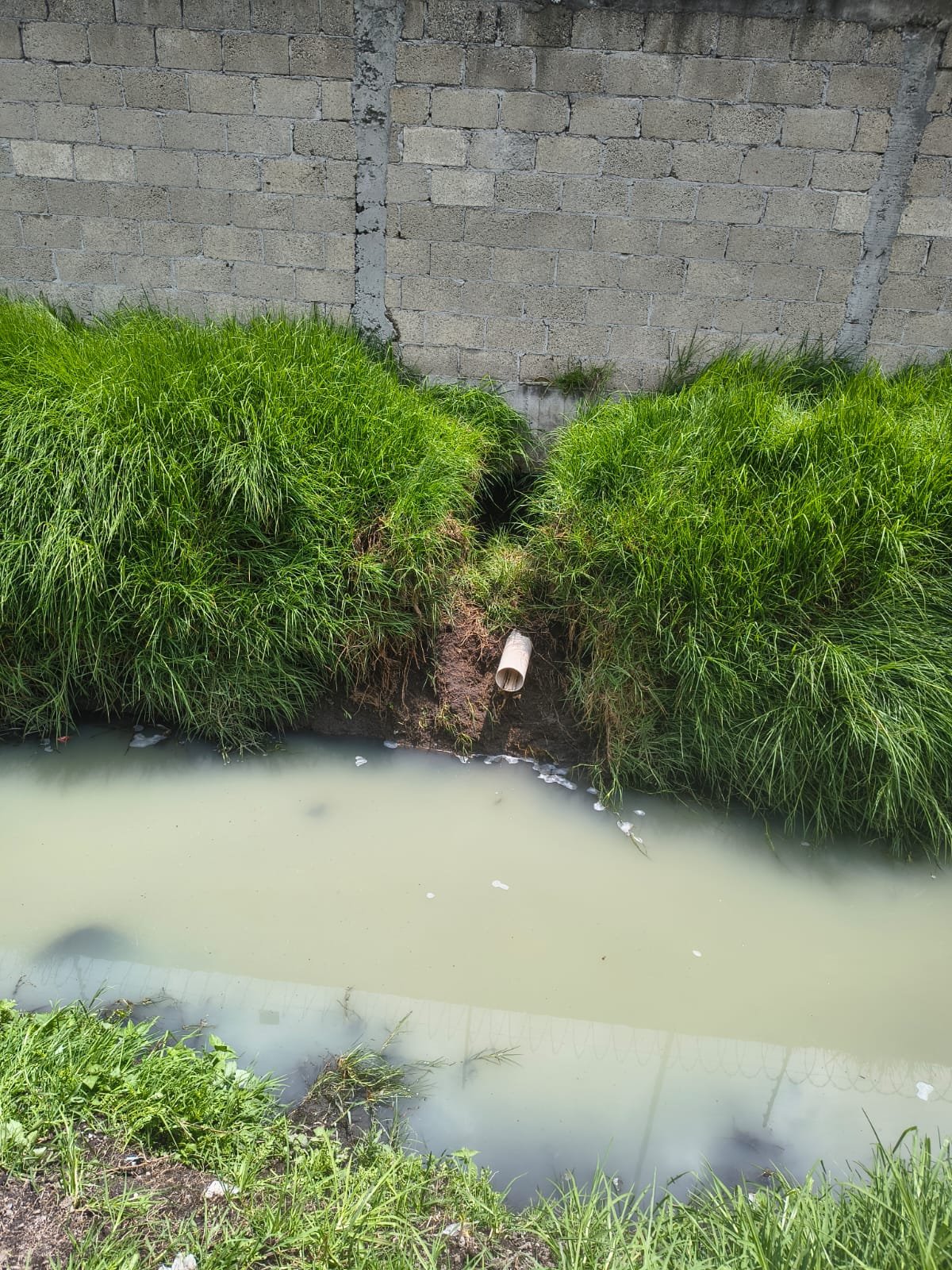 Profepa clausura parcialmente cárcamo tras descarga de sustancia química en canal pluvial de #Toluca