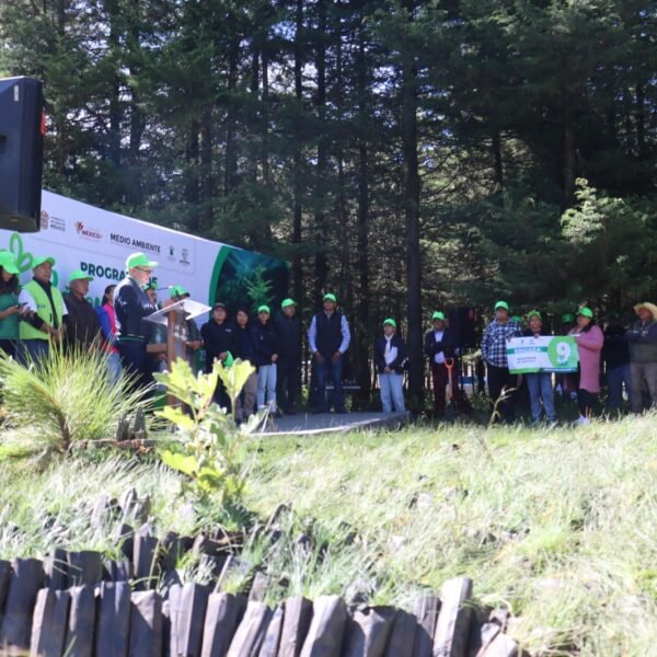 #Zinacantepec inicia programa de reforestación con la plantación de 3 mil árboles en el Cerro de Ibarra