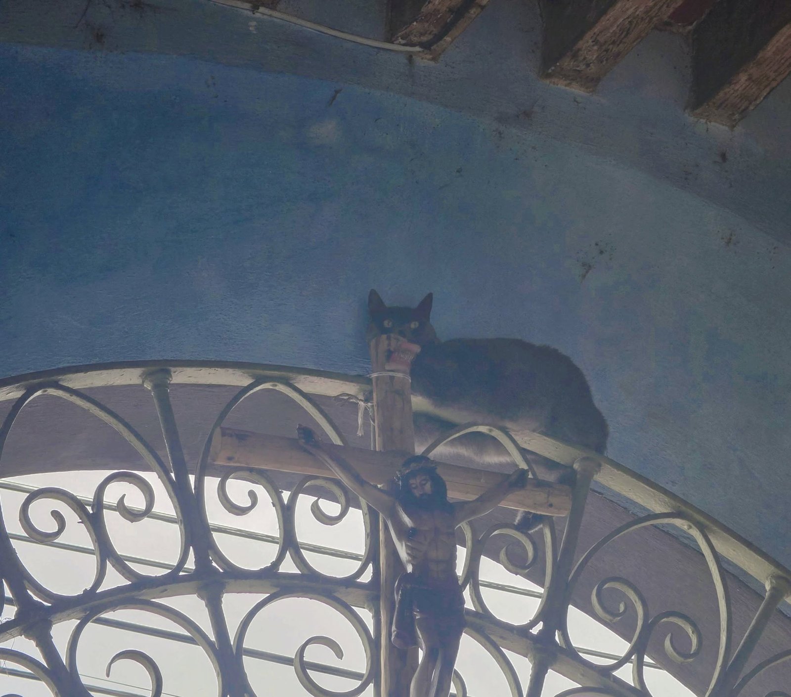 Bomberos de #Metepec rescatan a gatito atrapado en la entrada del Panteón Municipal