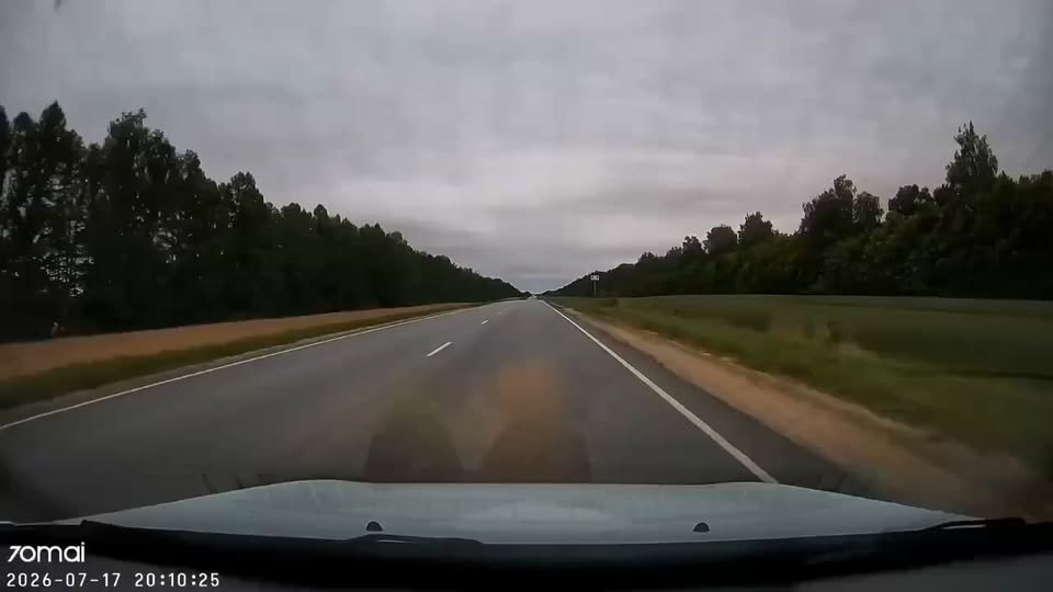 Un rebase imprudente acaba con una familia en carretera de Rusia. Video