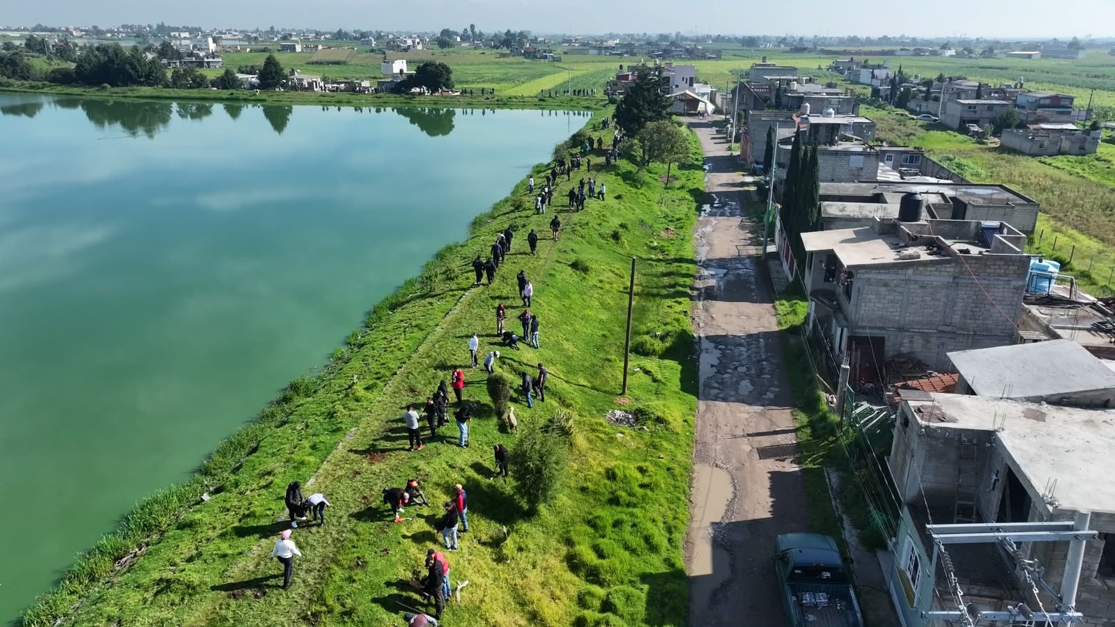 Toluca planta 2 mil 200 magueyes en el Bordo San Jerónimo como parte de su estrategia de restauración ambiental