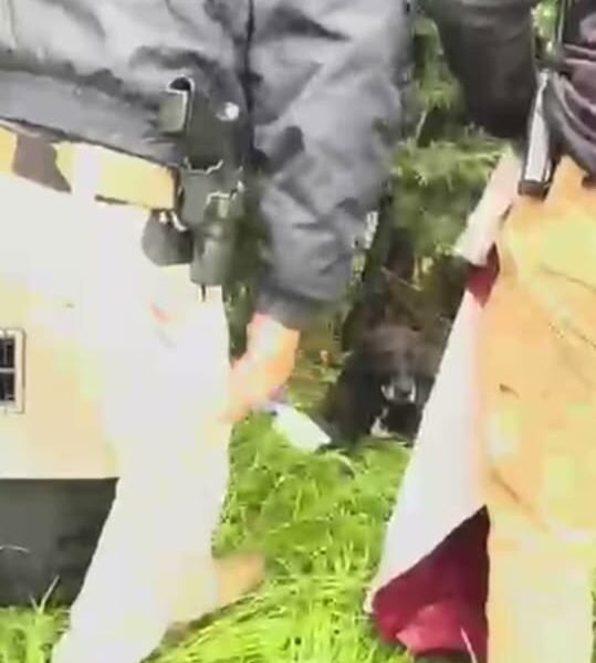Rescatan en #Metepec a lomito que había sido arrojado desde un piso superior dentro de una bolsa