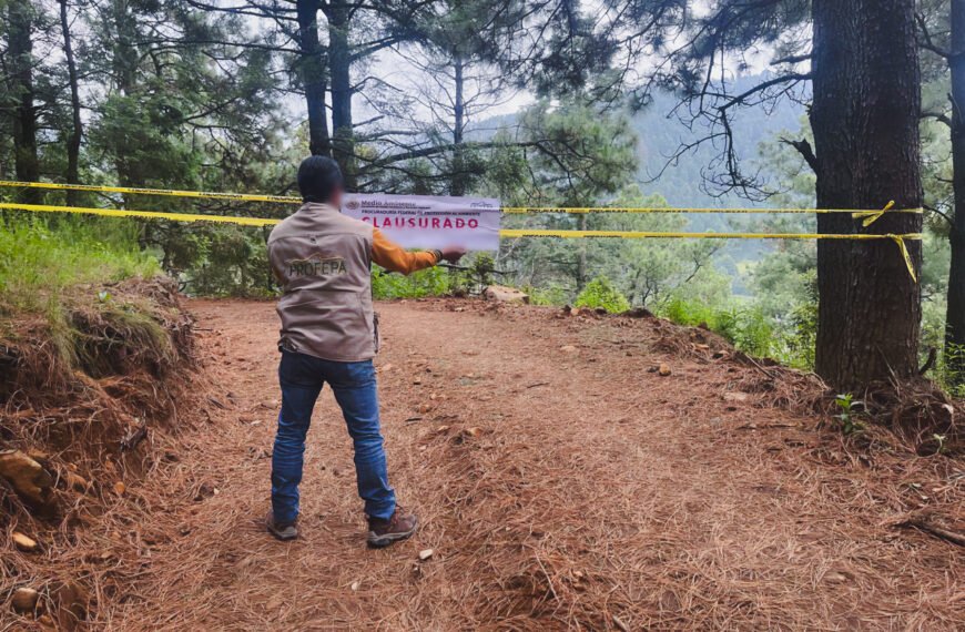 Profepa clausura dos predios en Ocoyoacac por afectaciones a vegetación y obras sin autorización
