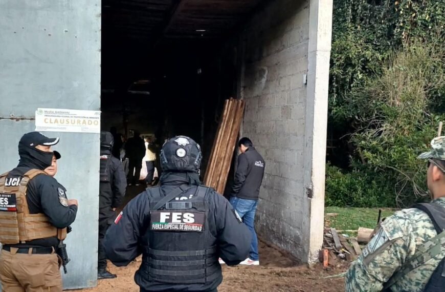 Aseguran dos inmuebles con madera ilegal en #Ocuilan