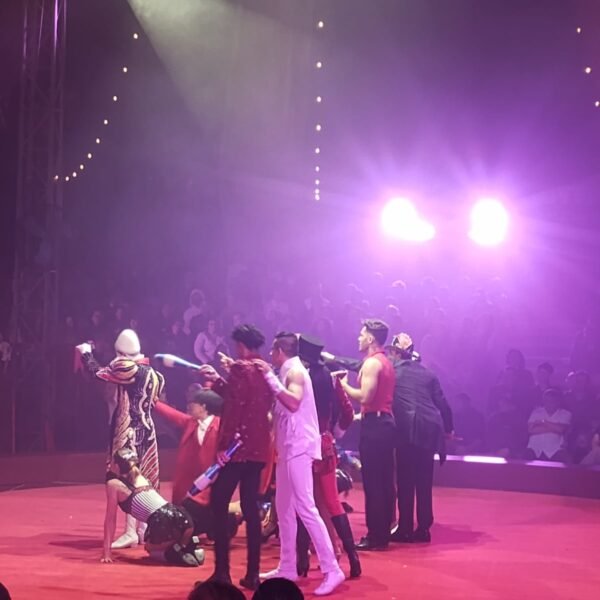 Artistas que participarán en Festival Internacional de Circo, presentes en función especial de Vie de Cirque