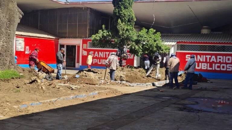 Rehabilitan áreas verdes y drenaje en inmediaciones del Mercado Juárez de Toluca