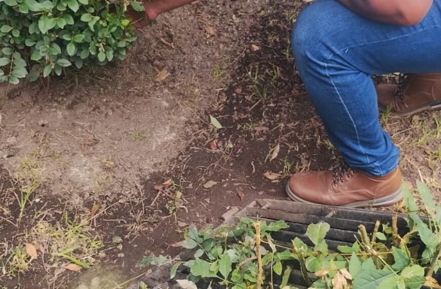 Refuerzan limpieza y control de roedores en Parque Urawa de Toluca