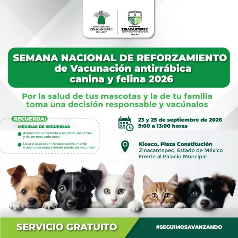 Zinacantepec ofrecerá vacunación antirrábica gratuita para perros y gatos