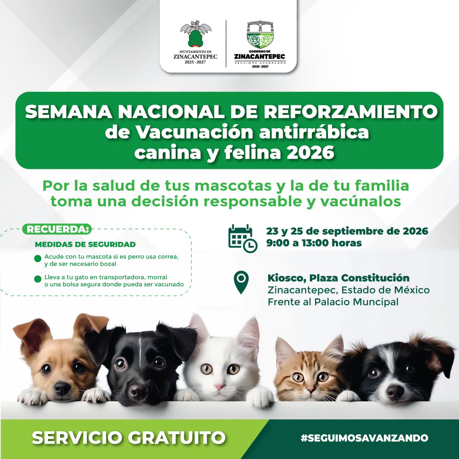 Zinacantepec ofrecerá vacunación antirrábica gratuita para perros y gatos