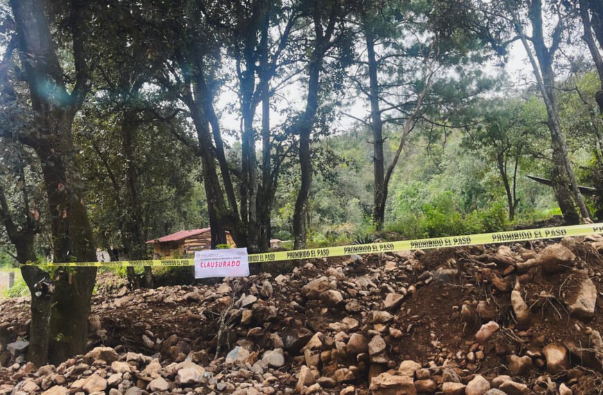 Clausuran obras por remoción de vegetación y extracción de piedra en Amanalco