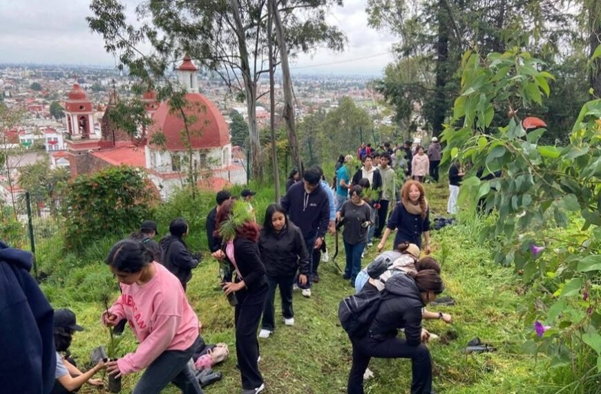 Metepec cumple meta de reforestación 2026 con 93% de avance y prevé rebasar los 20 mil árboles plantados