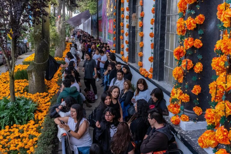 Toluca coloca 18 mil macetas de cempasúchil en espacios públicos por el Día de Muertos