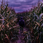 corniss