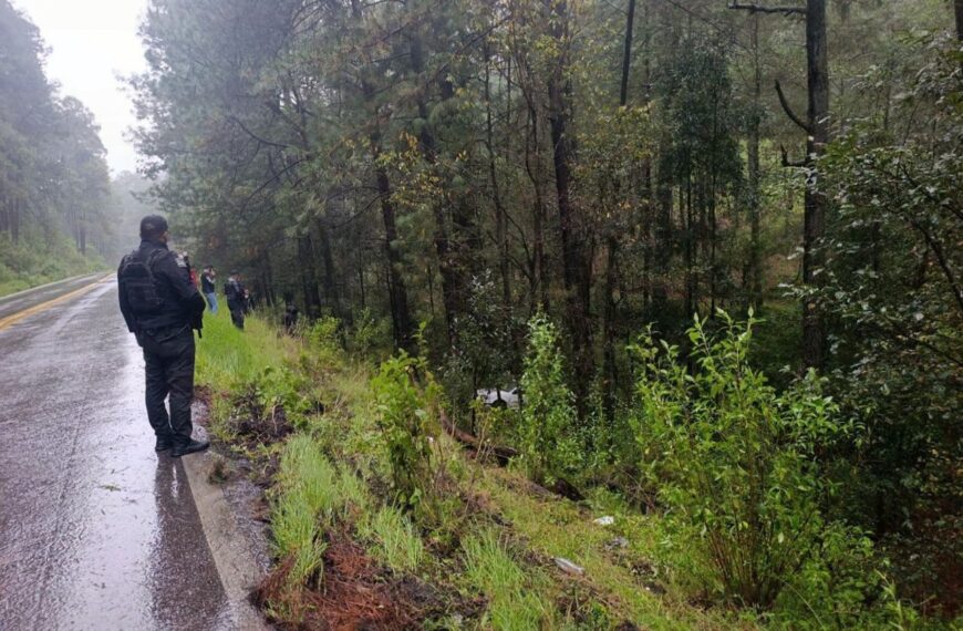 OJO: Automóvil cae a barranco en la Toluca-Zitácuaro