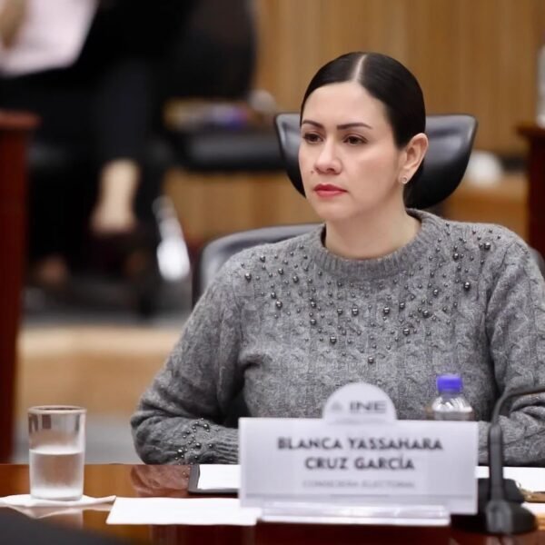 Blanca Cruz asume presidencia provisional del INE tras renuncia de Taddei